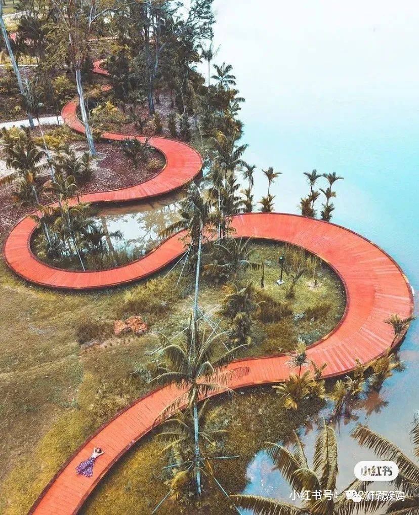 不用錢的玩法！打卡新加坡Ins網紅公園、特色遊樂場、免費看中醫