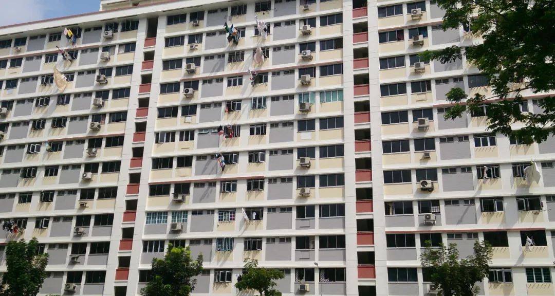 大膽！新加坡破獲14年最大宗大麻交易！20.5公斤，或判死刑