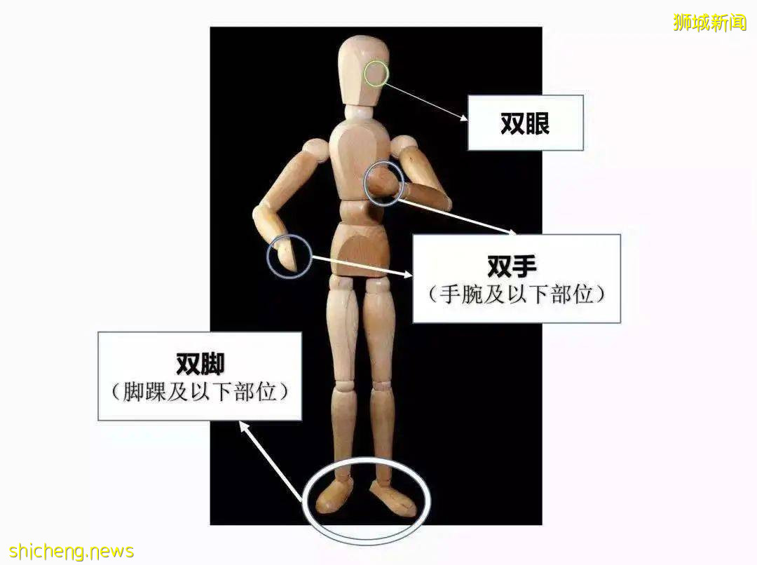 中新人壽保險大對比