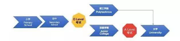 新加坡高等教育全剖析——公立、私立、理工学院