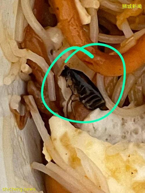 “另外半只不懂在哪里” 米粉藏半只蟑螂 