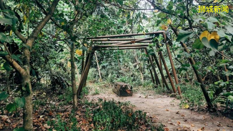 新加坡15個徒步遛娃好去處,我賭肯定有你不知道的