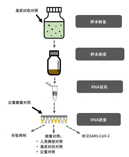 紧急!新加坡国立大学宿舍楼废水测出新冠病毒!大批学生强制检测,今天完成