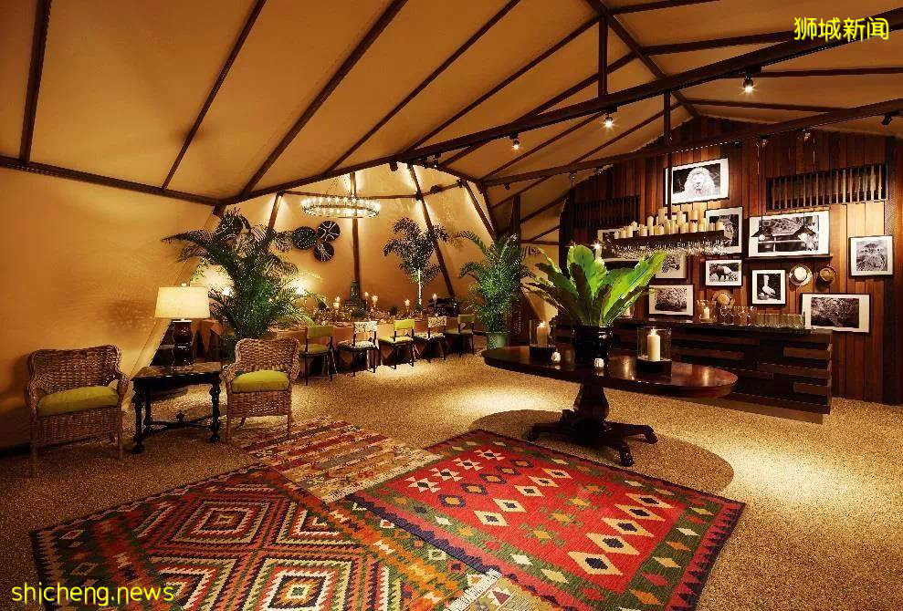 在新加坡野生動物園來一場VIP營地晚宴是怎樣非凡的體驗