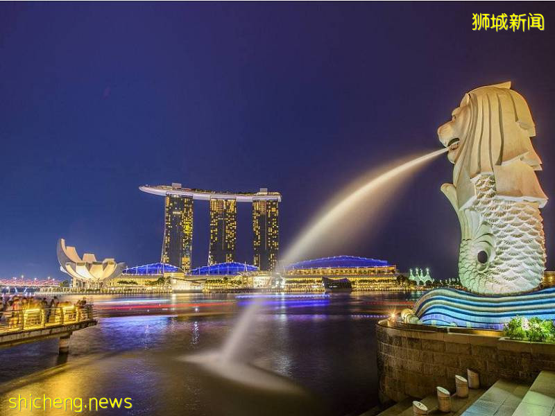 新加坡留学 留学选什么专业