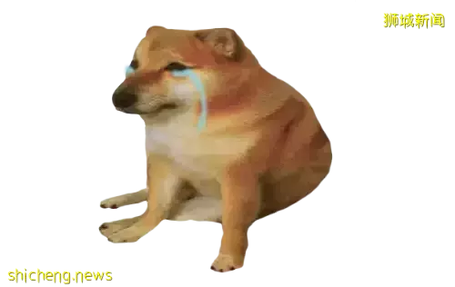 大型社死現場!我在新加坡相親,竟然遇到了中學老師