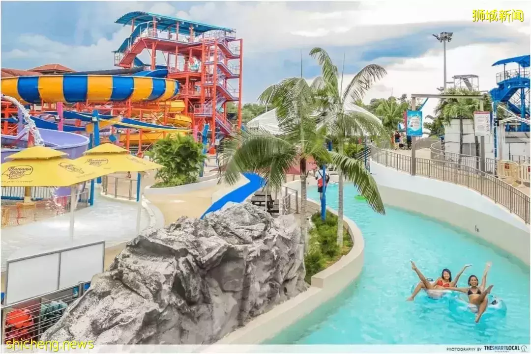 新加坡11條shuttle bus路線!直達動物園、宜家、農場、聖淘沙、醫院