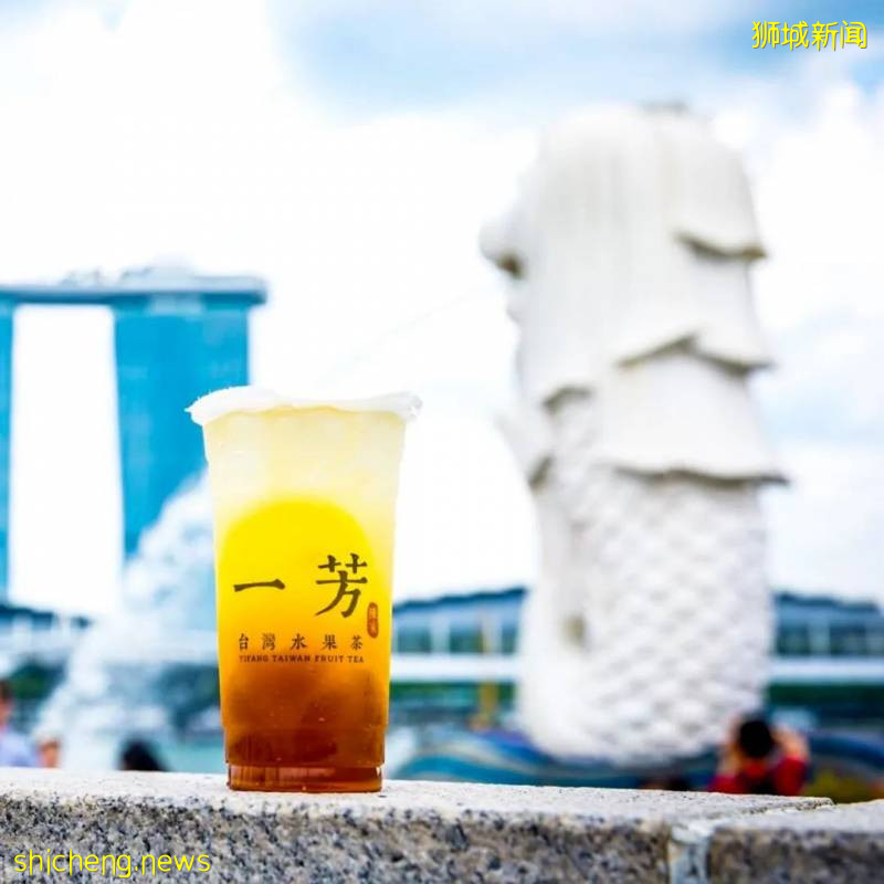 備受好評的奶茶店鋪大盤點!點擊收獲排隊攻略