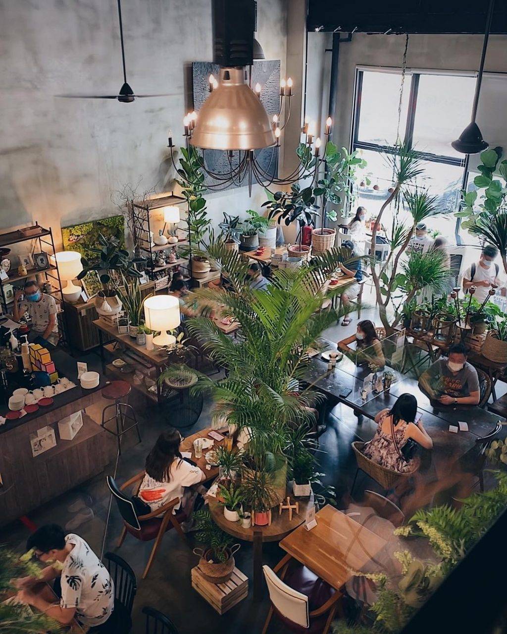 森林花園咖啡館Knots Cafe & Living🌿被綠植盆栽圍繞、置身世外桃源,感受片刻恬靜✨