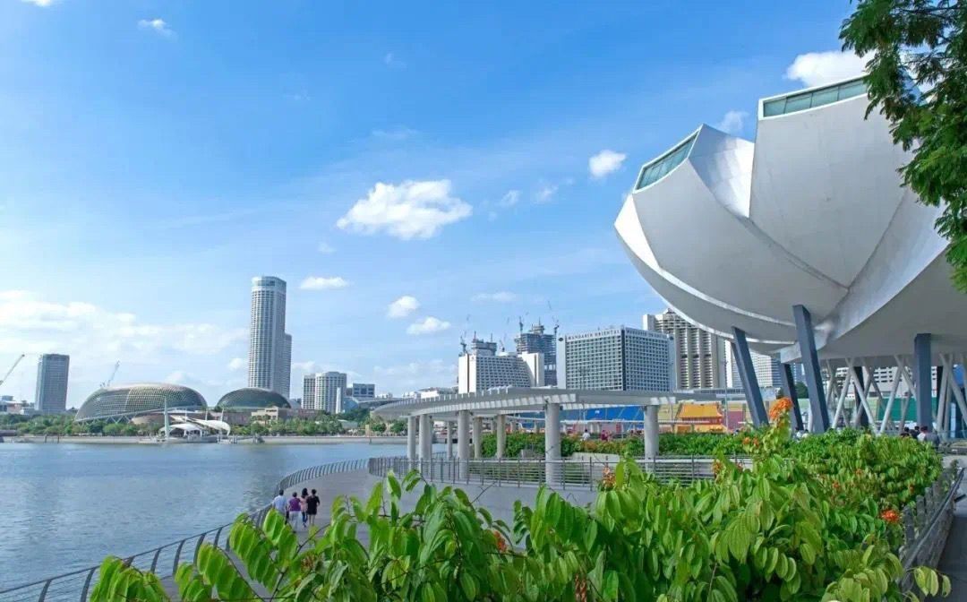 新加坡个人账户 新加坡花旗银行CitiBank远程开户指南