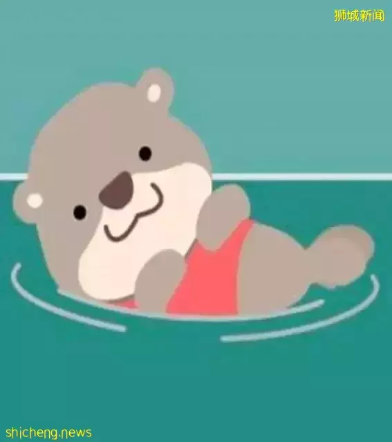 新加防疫取消“行程追蹤器”,網友創意水獺“畢業照”走紅