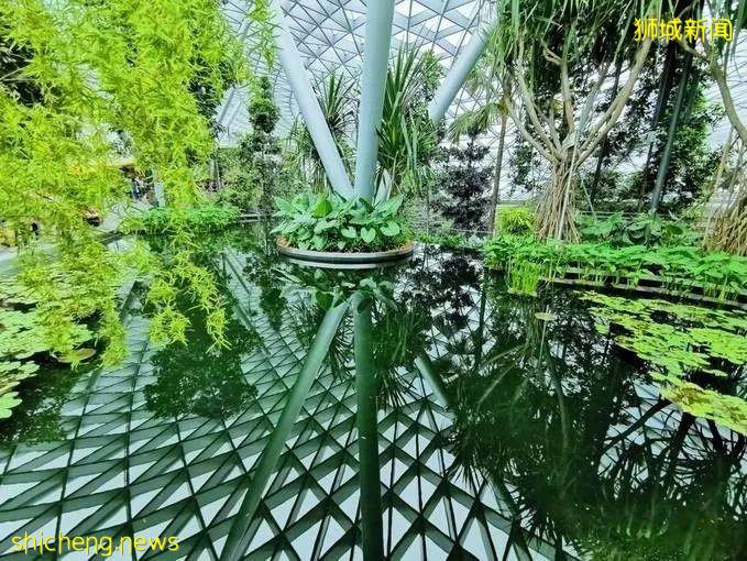 新加坡購物中心看點!