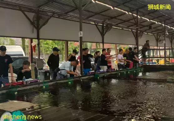 下水抓蛙、摘菜摸鱼、开土摩托……我带娃体验了一把新加坡的农家乐