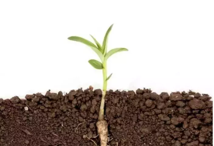 新加坡名校博士为照顾儿子当德士司机走红,现在他做什么呢