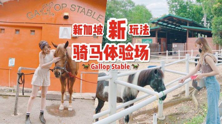 周末新玩法！新加坡騎馬好去處Gallop Stable🐎 一站式體驗活動！走進動物世界騎馬餵小兔🐰🐎