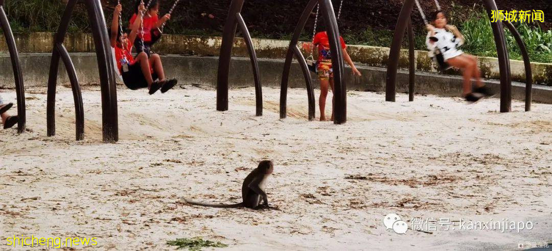 遛娃圣地海军部公园,超多大滑梯,大人孩子一起嗨