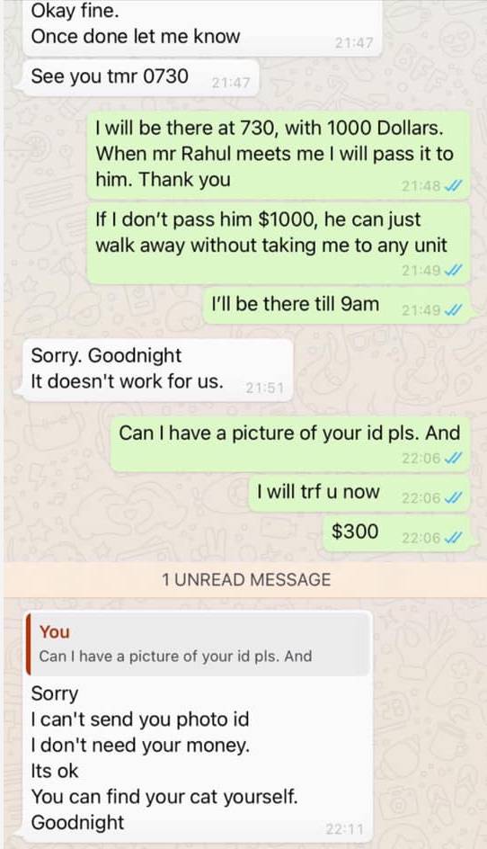 落井下石!新加坡一家庭在丟失愛貓後又被詐騙300新元