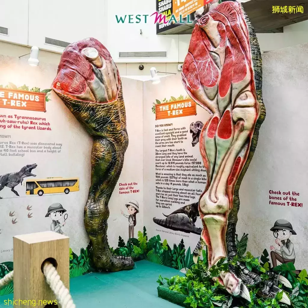 免費入場！Jurassic Alive恐龍軍團空降West Mall🦖消費滿數額還可兌換樂高與抱枕