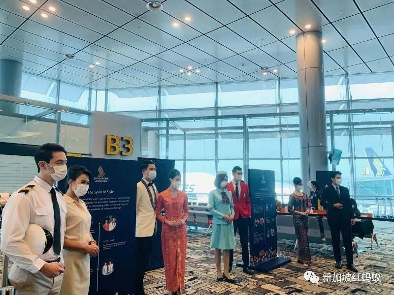 新加坡人掏心掏肺掏荷包 新航现在知道谁对他们最真心了吧