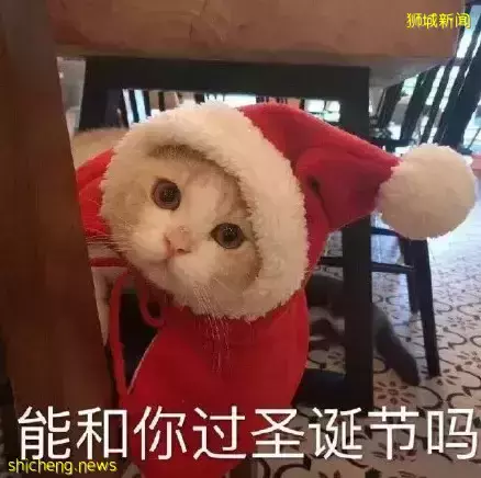 新加坡聖誕節不知道去哪過?看著一篇就夠了