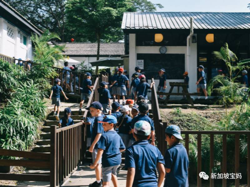 什么?新加坡还有这么便宜的国际学校