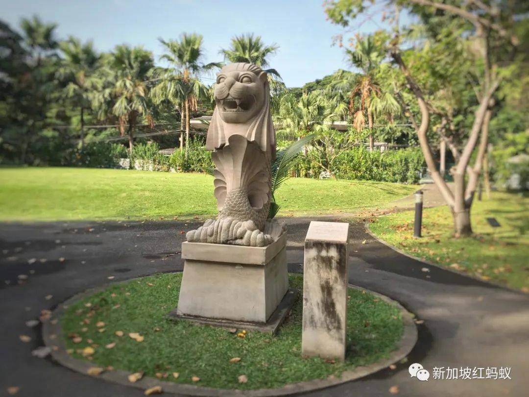 日本和歐洲也有魚尾獅? 它比你我知道的還要神出鬼沒