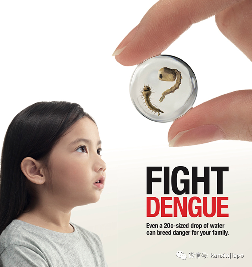 新加坡今年前七个月骨痛热症病例已超过2019年全年，可能成为史上之最