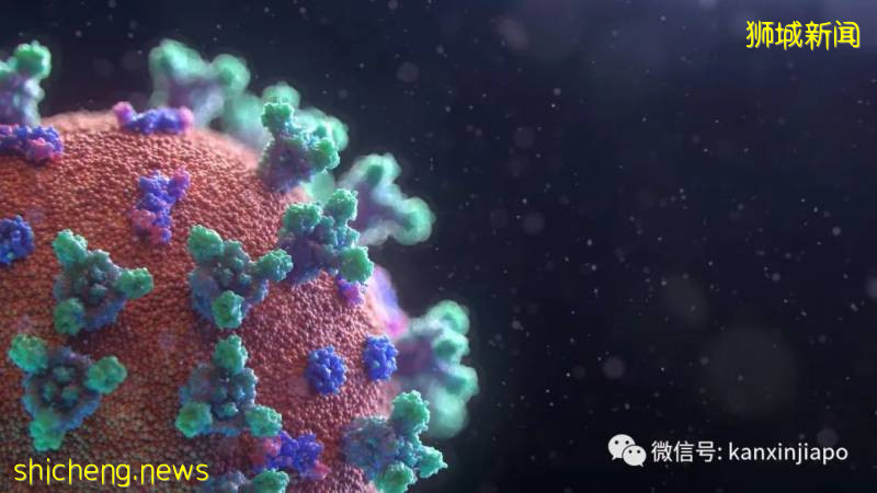 新加坡新冠確診多死亡率低,原因可能是這個!