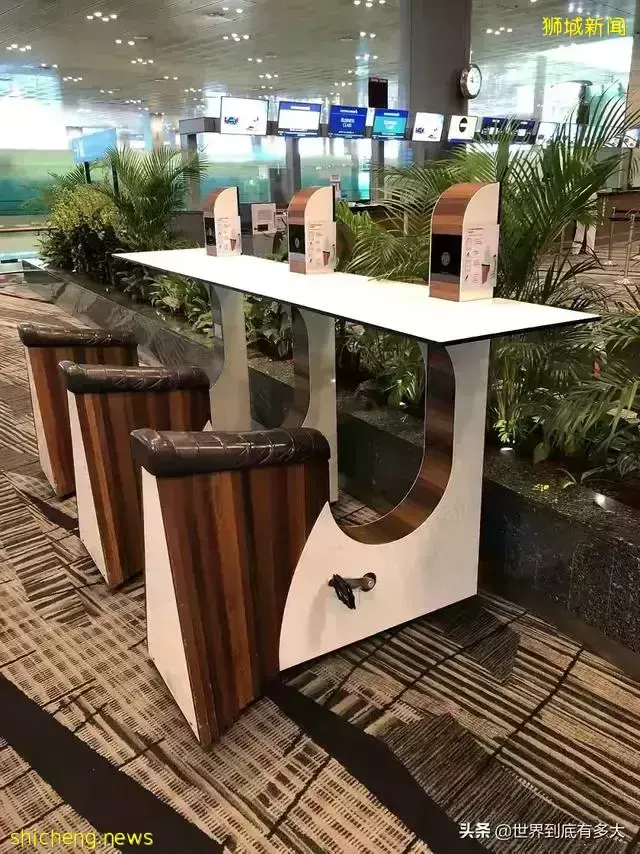 45张照片,带你见识新加坡,不为人知的另一面