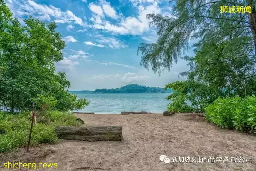 新加坡留学假日好去处,比马尔代夫更美的周边小岛盘点