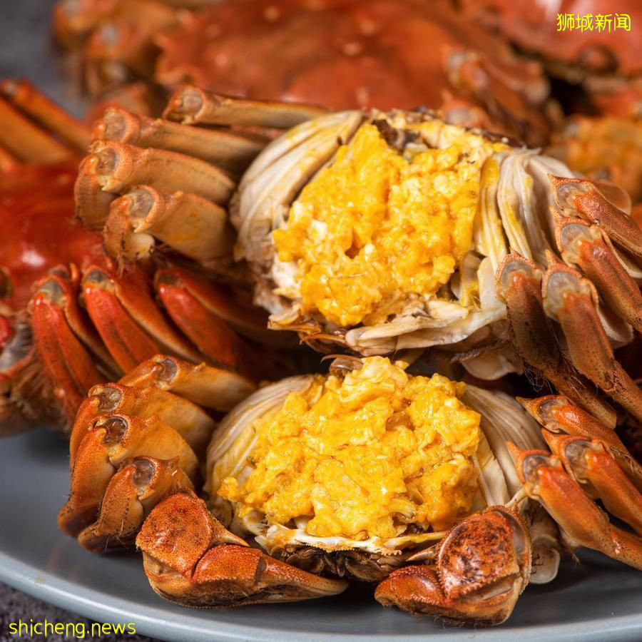 秋风起蟹脚痒，新加坡吃大闸蟹完全攻略！在家吃or店里吃全部都有