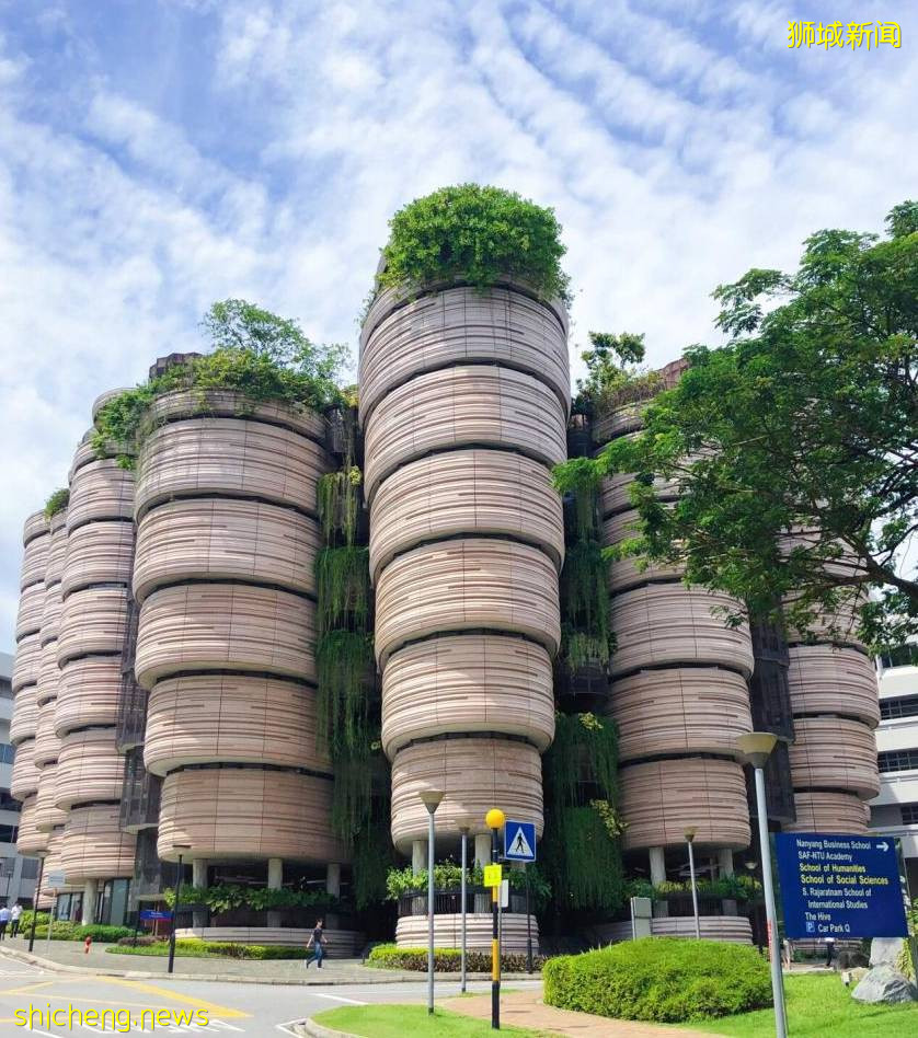 新加坡 在風景如畫的新加坡讀大學，體驗不一樣的魅力
