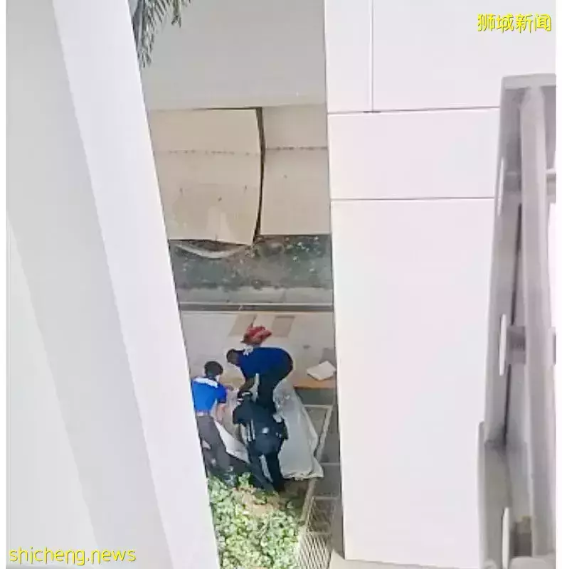 儿判刑日坠楼轻生 父自责:是我做得不够好