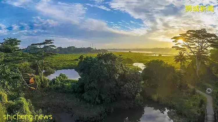 下水抓蛙、摘菜摸鱼、开土摩托……我带娃体验了一把新加坡的农家乐