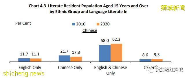英語取代華語成爲新加坡家庭常用語　中國新移民只有三分之一在家只說普通話