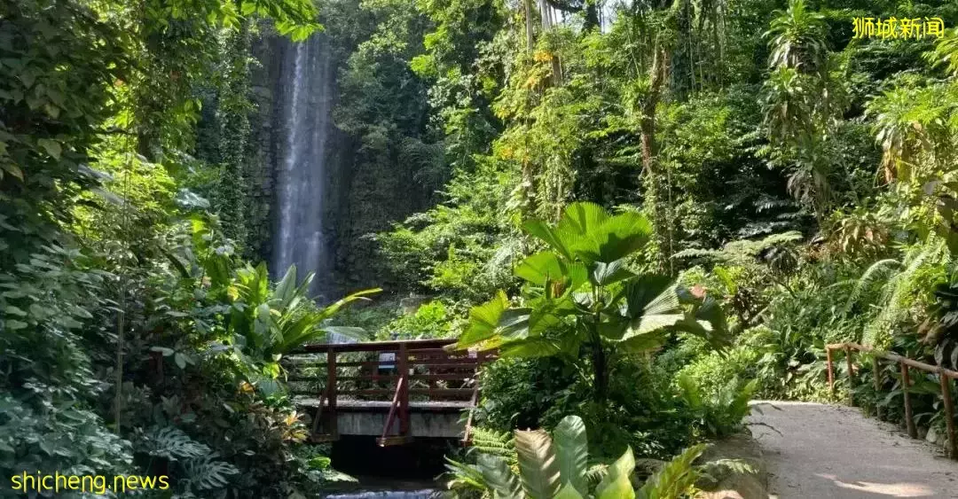 小朋友超爱！裕廊飞禽公园露营！和火烈鸟一起度过美好夜晚