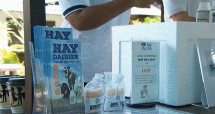 抓青蛙、喂小鸡、摸鹌鹑、喝羊奶、做手工…克兰芝农夫市集又回来啦