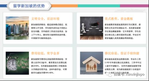 如何成功進入新加坡政府中小學 後續升學路徑解析!新加坡學曆提升必讀