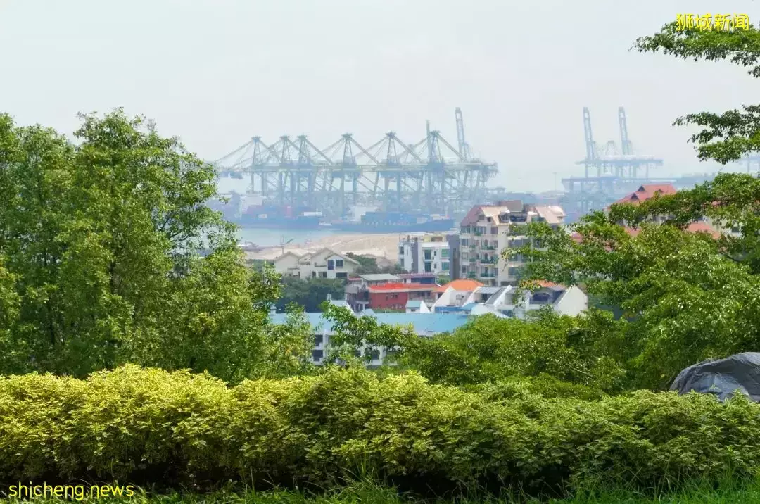 感受一下大自然 在新加坡，有哪一些适合野餐的风景名胜区