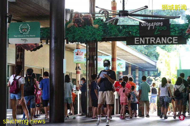 新加坡病例突然反彈,網友吐槽解封太快!學校開學通知來了