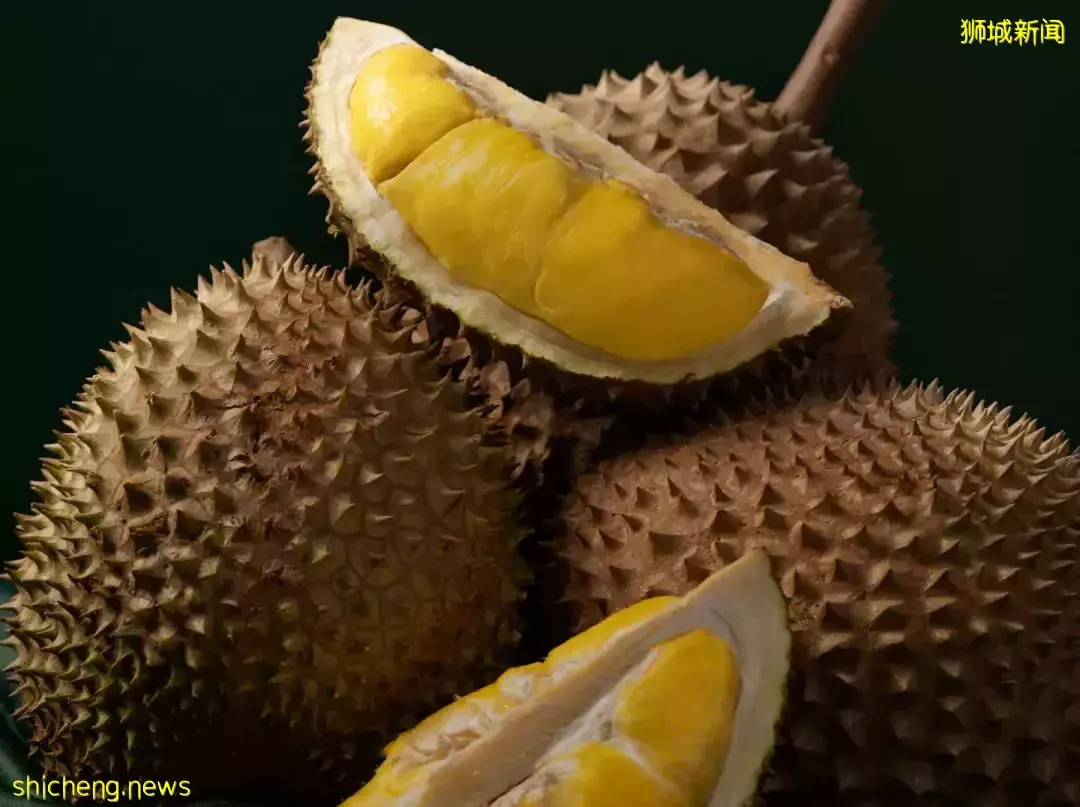 因爲減産,都漲價了!新加坡最火的11種榴梿價格表出爐