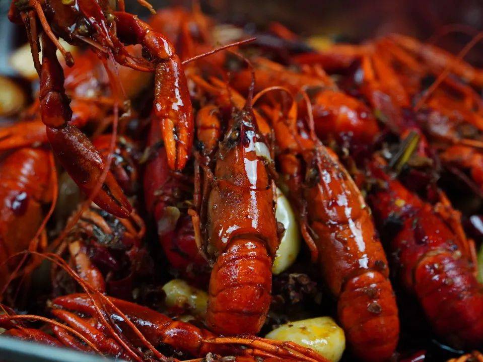 思味小火锅又出新锅了?!5折吃垮这家开了多年的火锅串串店