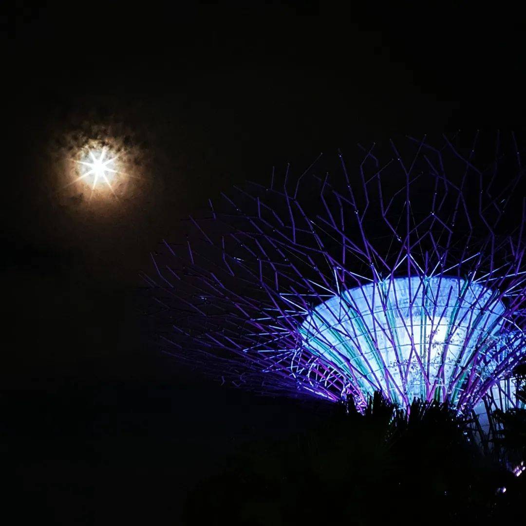 太美！新加坡驚現奇異彩虹月！全島人搶拍