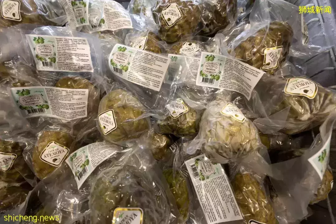 台灣最特別水果登陸新加坡,零下40度冷藏運來,你想嘗嘗嗎