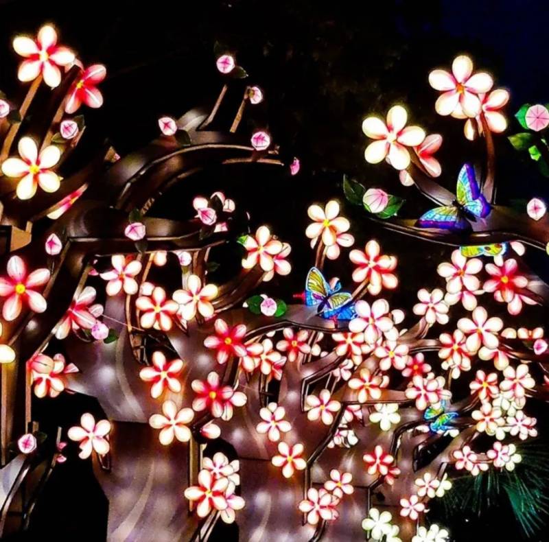 新加坡濱海灣花燈展PK中國周莊中秋燈會，你更pick誰