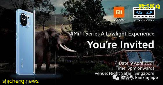 小米新加坡牵手Night Safari动物园网红大象,温情满满