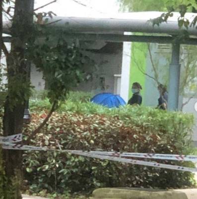 突發！淩晨4點，新加坡一名小六女生被發現死于組屋樓下
