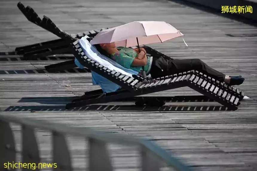 随着汞含量上升，新加坡医生警告与高温有关的健康风险