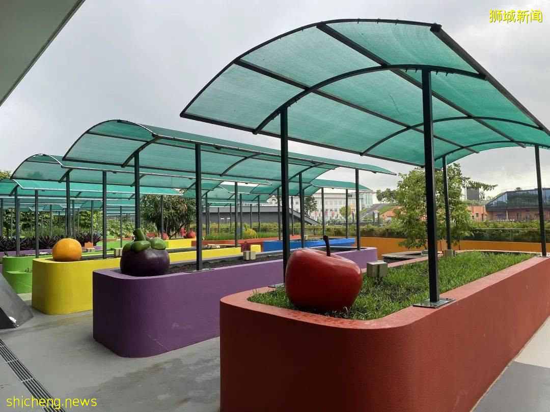 李顯龍總理打Call的超級大商城！開業就5000人擠爆，內附吃喝玩樂攻略