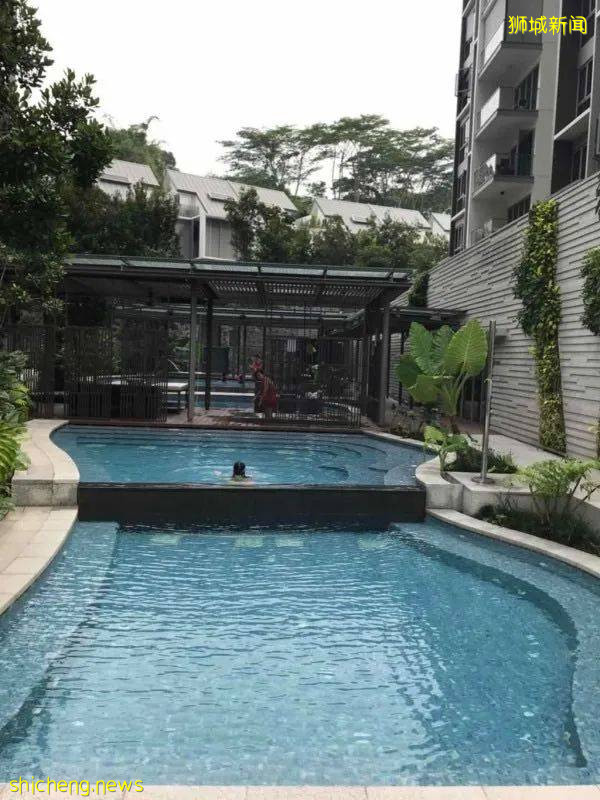 跟着老公一起去狮城,在这里安家生活,却碰上疫情